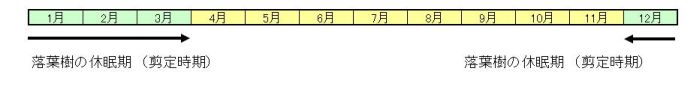 落葉樹スケジュール