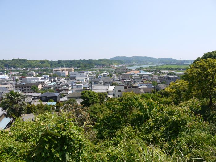 写真
