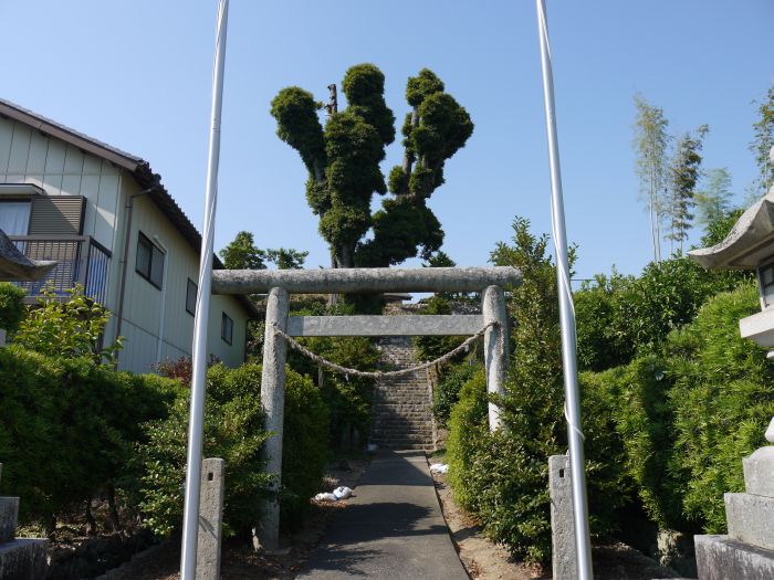 写真