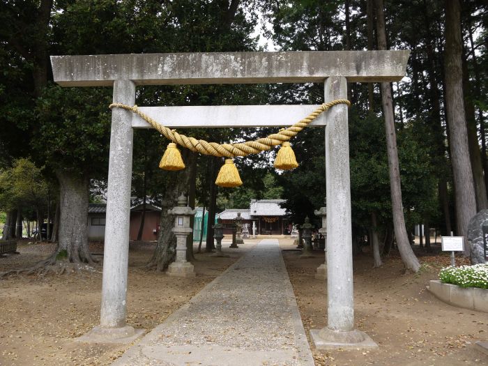 写真