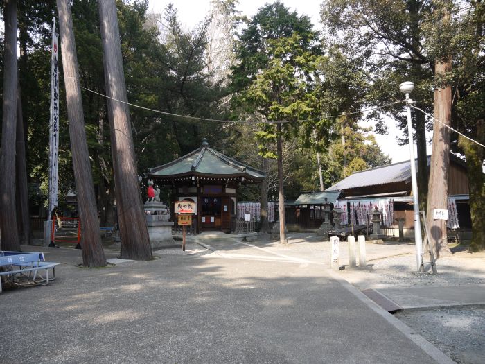 写真