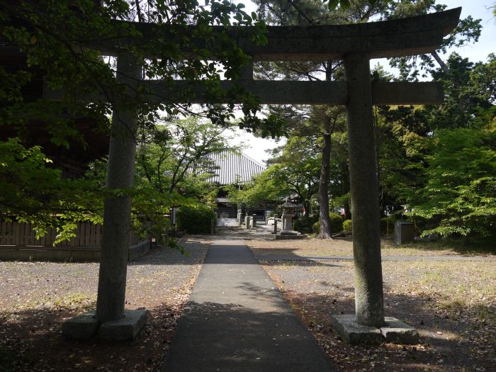 写真