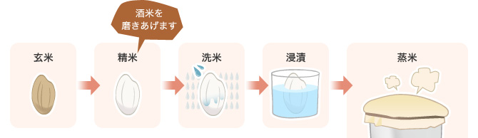 玄米→精米→洗米→浸漬→蒸米